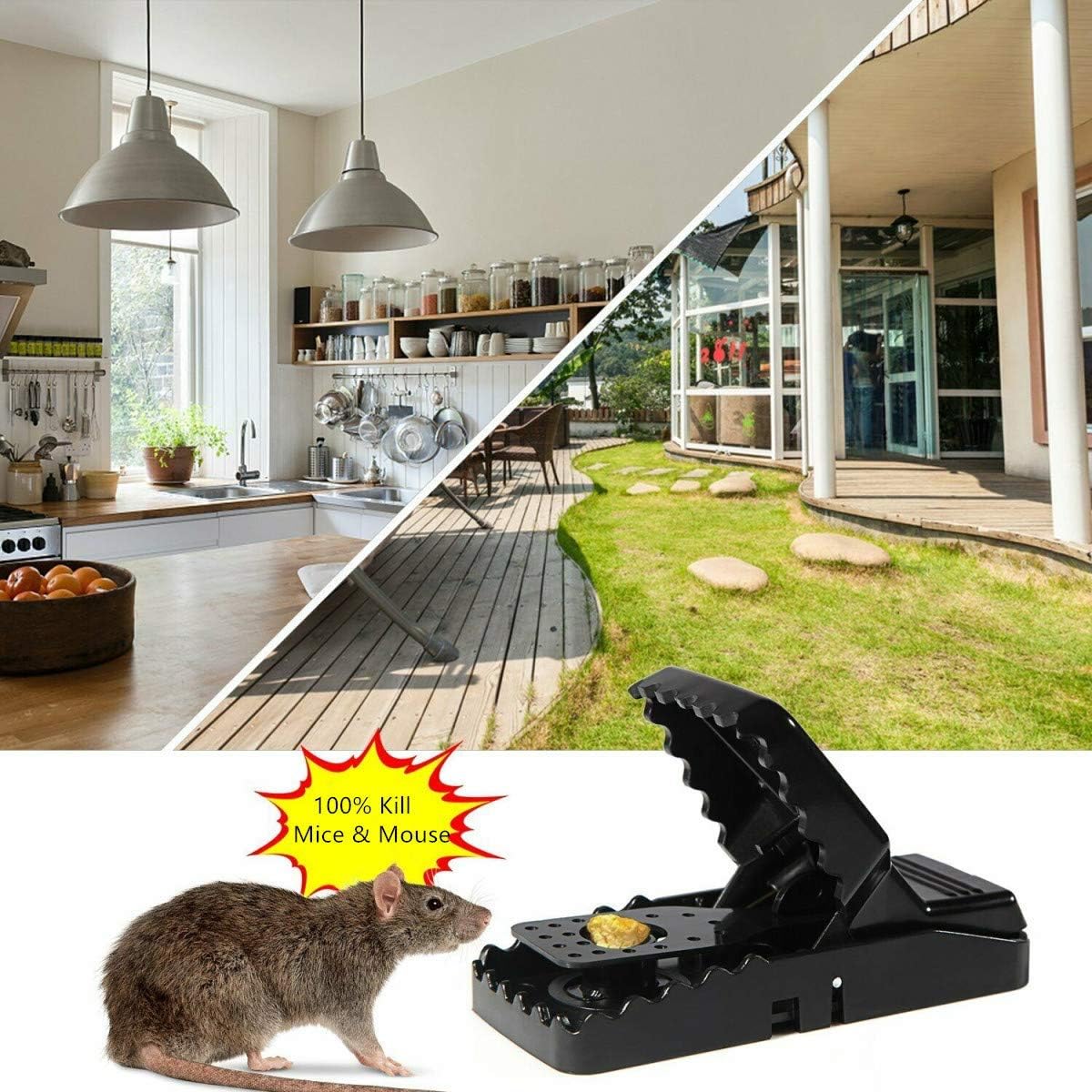 pack of two Universal Mouse Catcher, Indoor Reusable Rat Trap