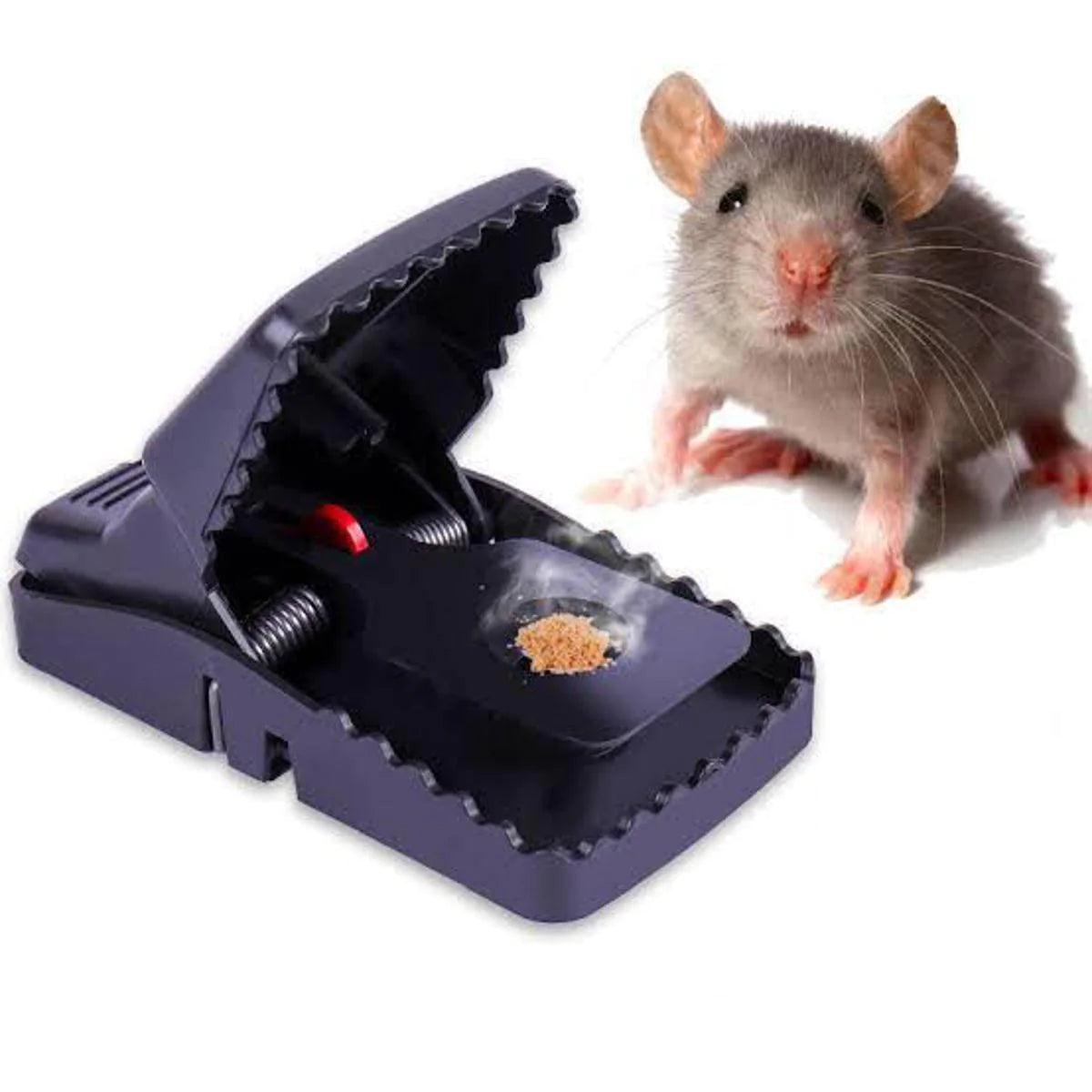 pack of two Universal Mouse Catcher, Indoor Reusable Rat Trap