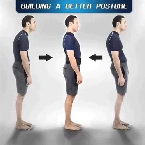 Posture Corrector Belt